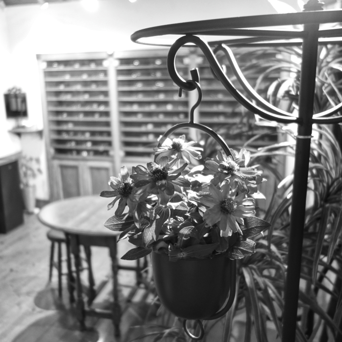 DSC09180